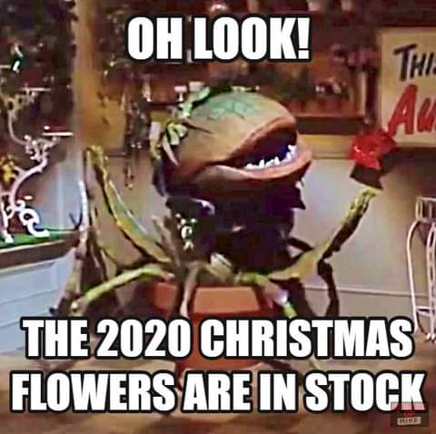 2020 Christmas Flowers
