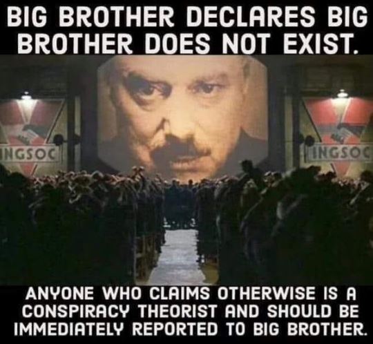 Big Brother Does Not Exist
