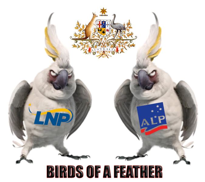 Birds of a Feather