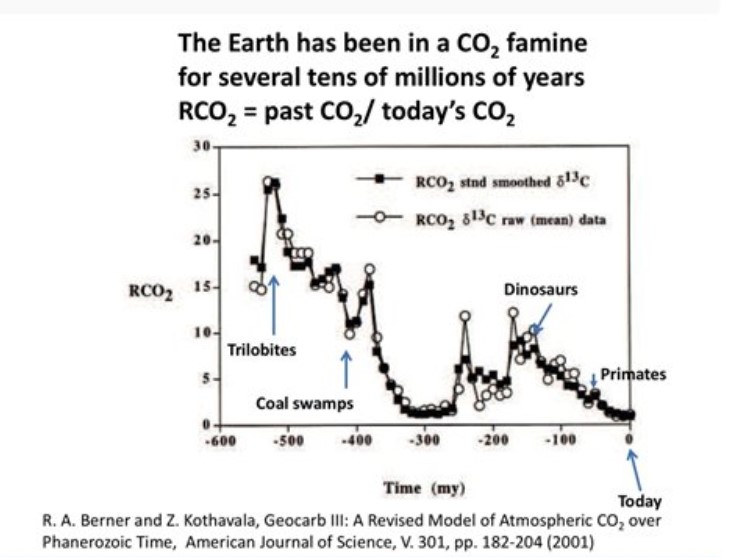 CO2 In Decline Graph
