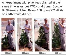 What Different Levels of CO2 Does to Plants