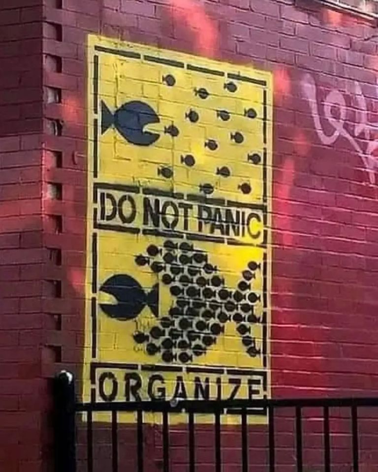 Do Not Panic - Organize