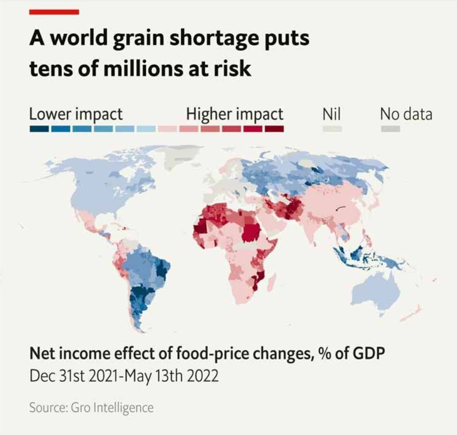 Grain Shortage Risk