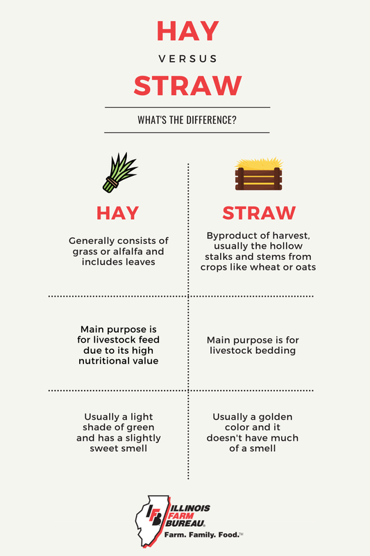 Hay vs Straw