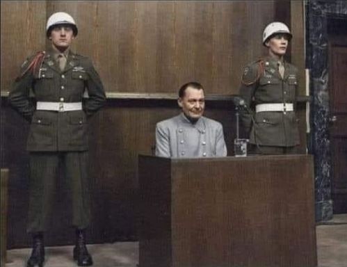 Hermann Goring On Trial