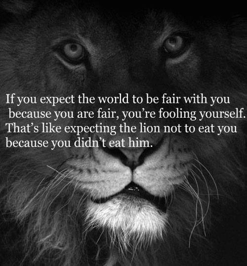 If You Expect...