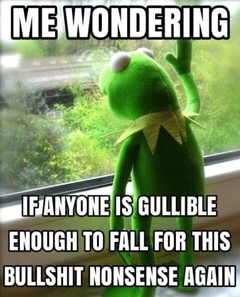 Kermit Wondering