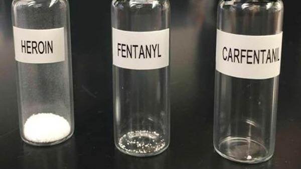 Lethal Doses