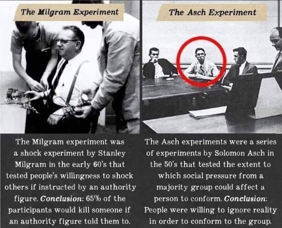 Milgram and Asch Experiments Prove We Are In Trouble...