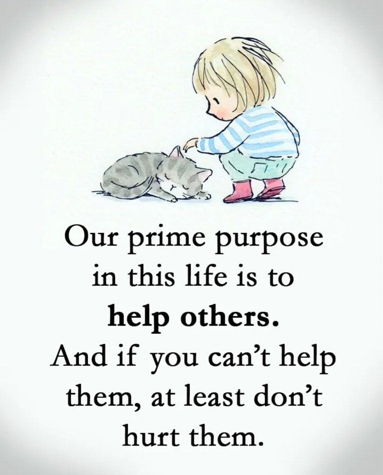 Your Basic Purpose In Life
