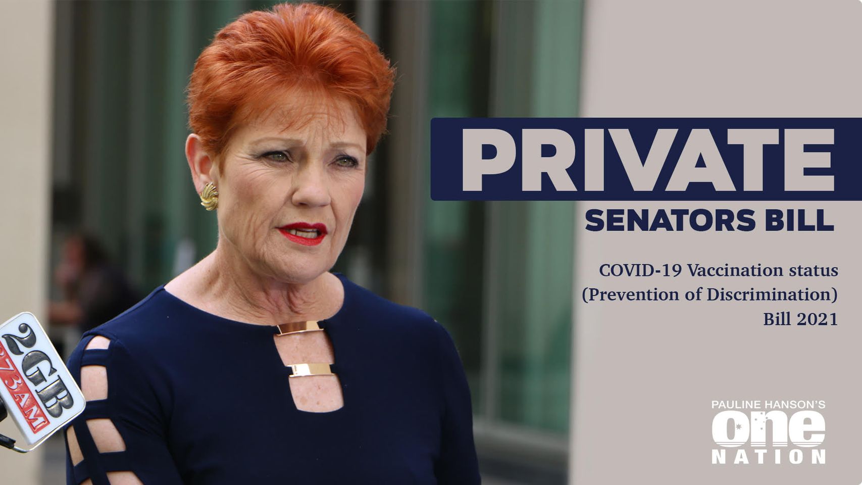 Pauline Hanson Anti-Disrimination