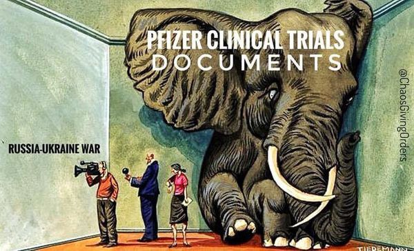 Pfizer Elephant In The Room