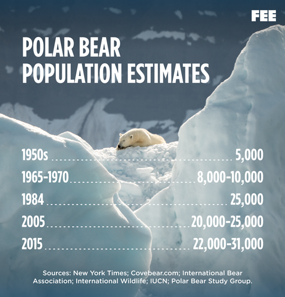 Polar Bear Population Estimates