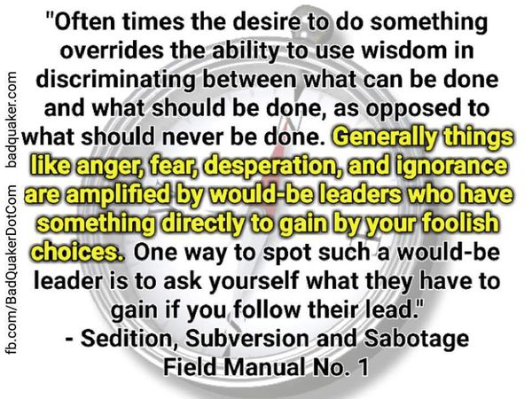 Quote From The Sedition, Subversion and Sabotage Field Manual