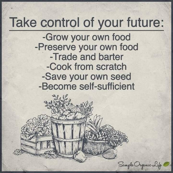 Take Control Of Your Future
