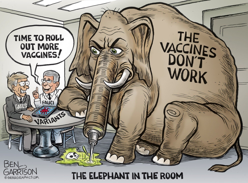 The Elephant In The Room