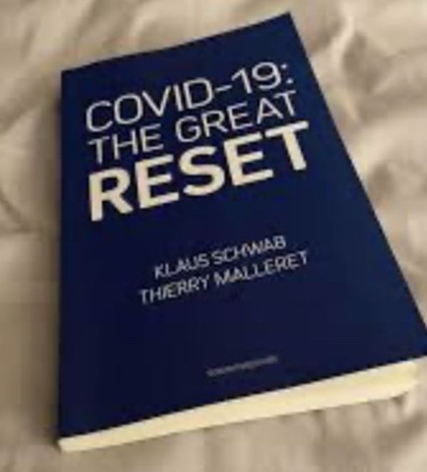 COVID-19: The Great Reset Book
