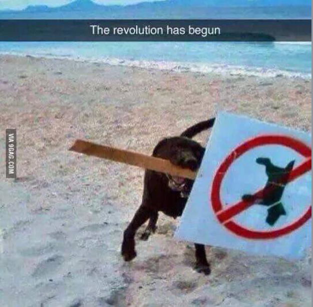 The Revolution Has Begun
