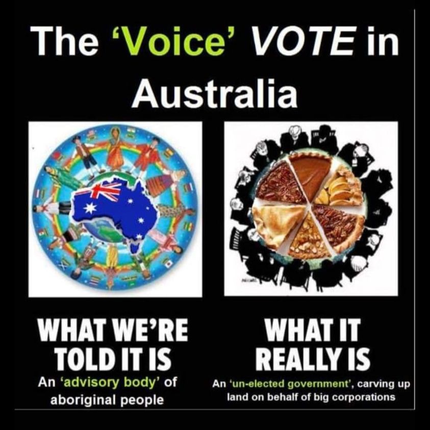 The Voice - What We Are Told vs What It Is