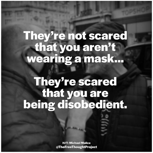 They Are Scared Of Your Disobedience