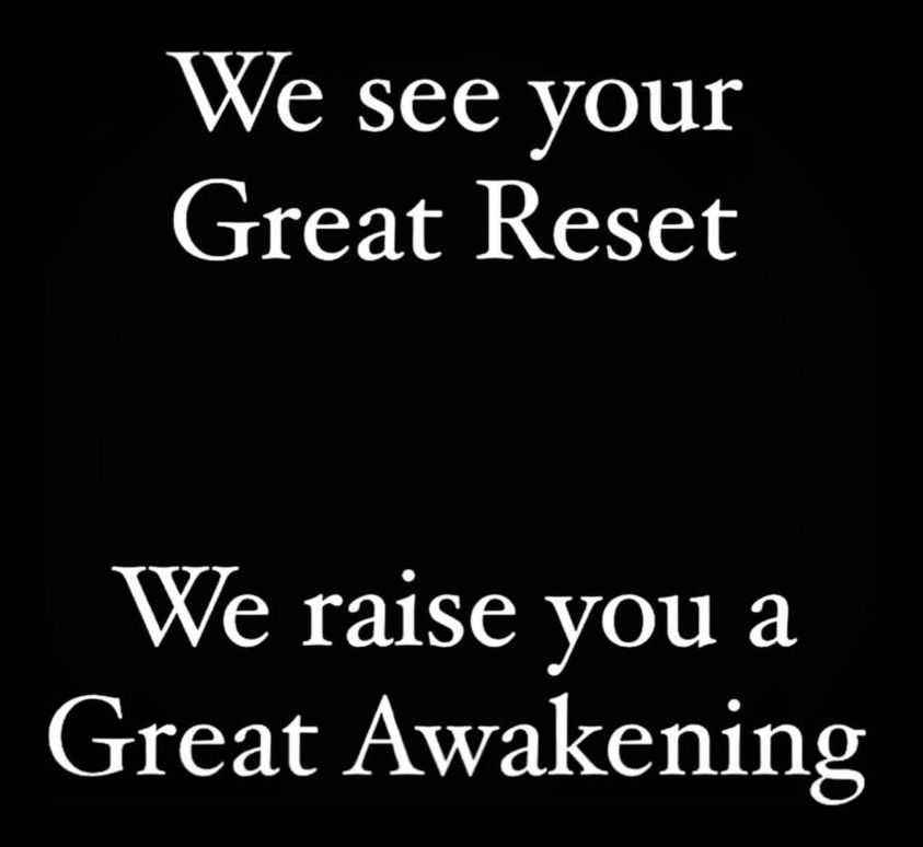 We See Your Great Reset