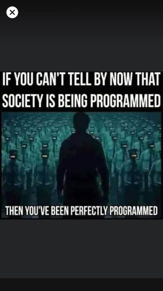 You Have Been Perfectly Programmed